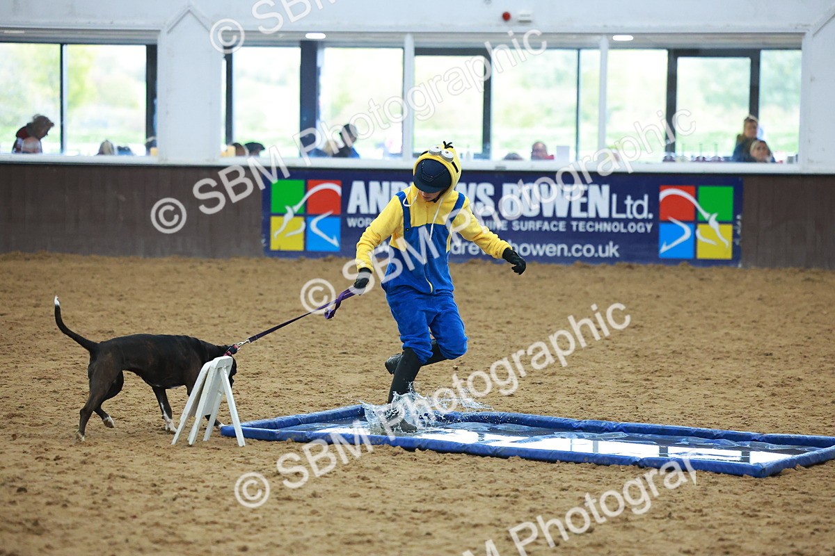 SBM_002251 - Class 3 - Horse & Hound (60cm)