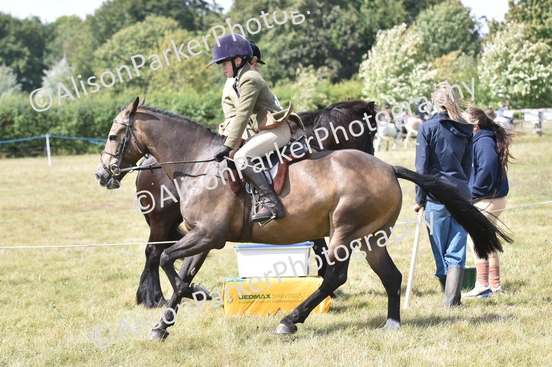 20250831-3975 - Class 12 - Working Hunter Pony 14.2hh and Under
