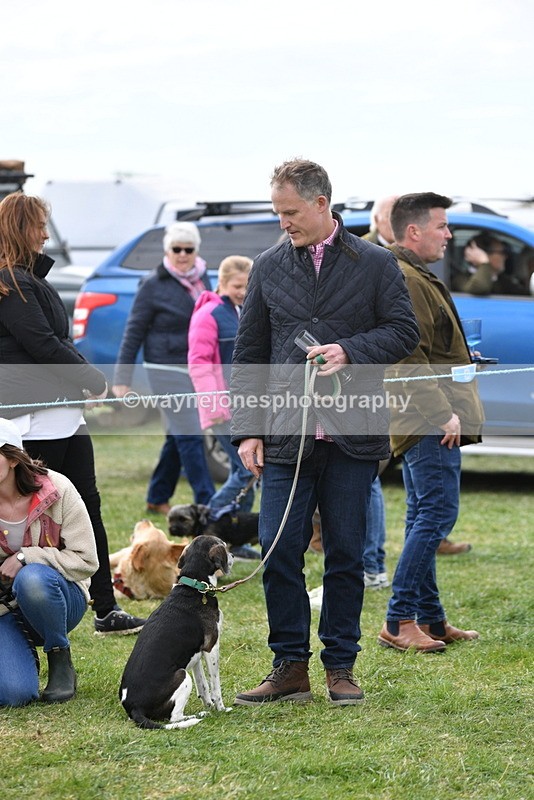 WJ5_0159 - Class 5 Best Veteran / 7 years & over