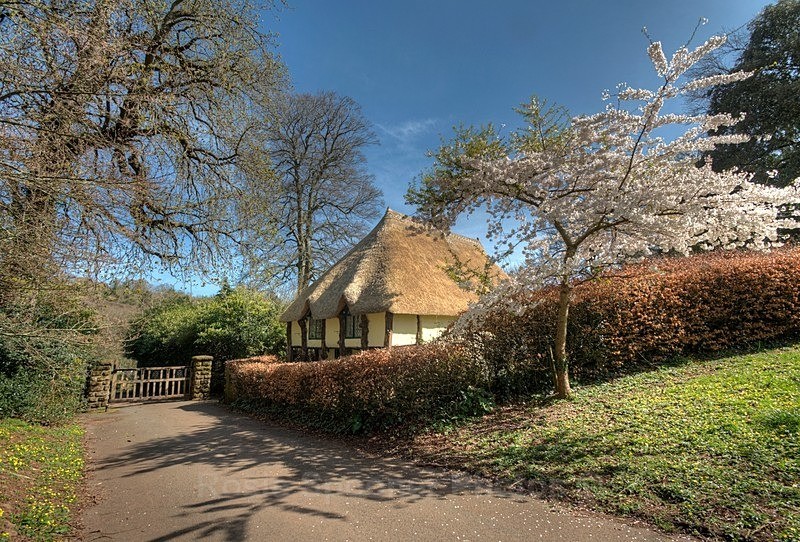 Springtime at Cockington - Cockington