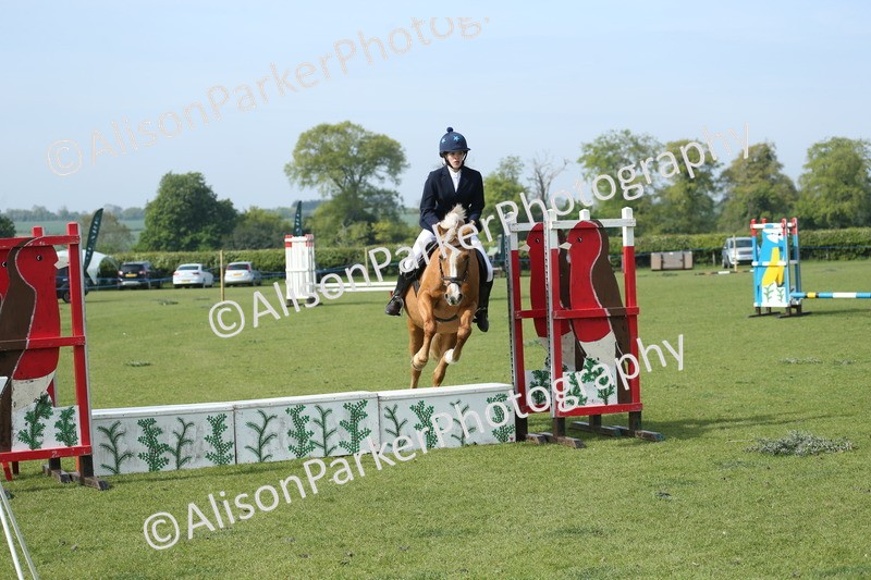 20260426-0247 - Class 13 - Rookie Jumping 50cm