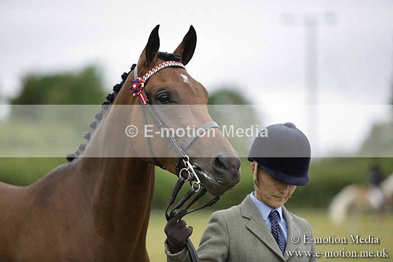 BVR160717-847 - Ring 2 BVRC Show 16/07/17