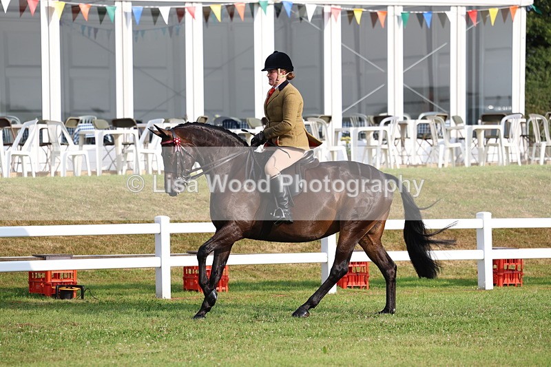 3E7A7730 - Class 1: Rising Star Small Hack/Riding Horses