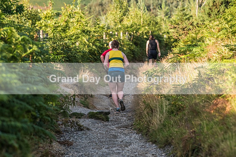 Latrigg-325 - Not Round Latrigg Race Wednesday 14th August 2024