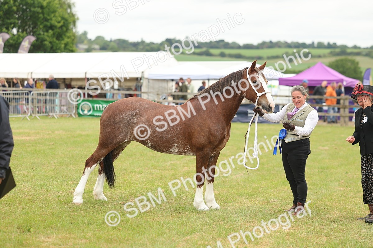 SBM_02415 - Class 50-57 - M&M Welsh Pony In Hand