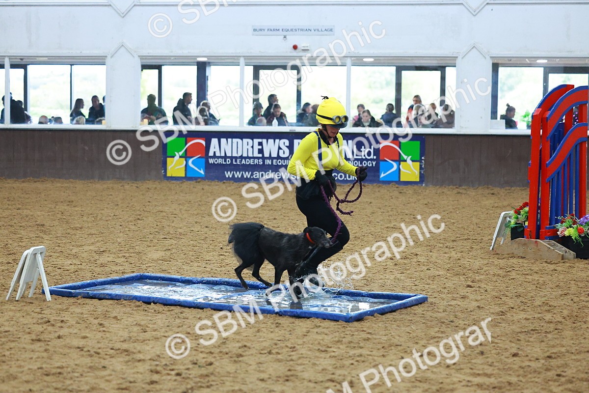 SBM_002334 - Class 3 - Horse & Hound (60cm)