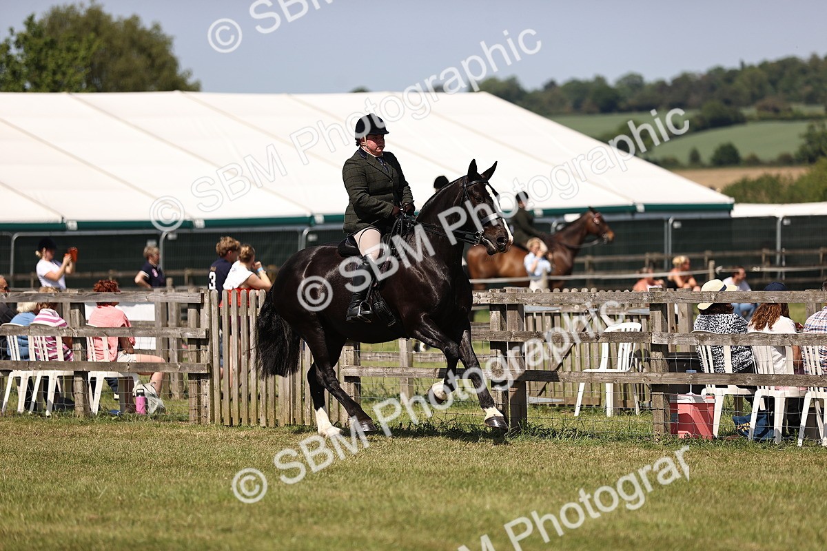 SBM_17848 - Class 81-83 - TSR Ridden Amateur of the Year - Horses
