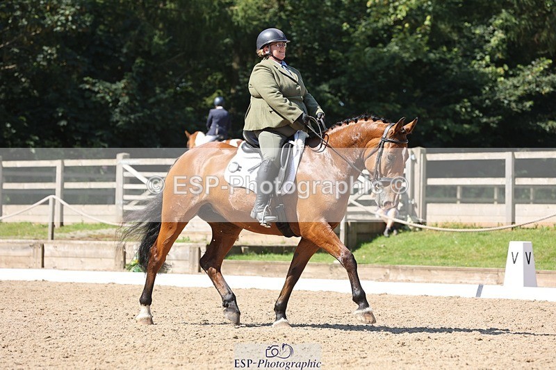 240719-105120-00796 - 169-Marion_Eaves-Indigo_Queen_of_Hearts