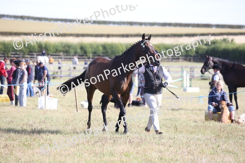 20260906-0692 - Class 22 - Ex Racehorse