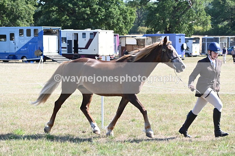 WJ6_4501 - Class 17 Mountain & Moorland