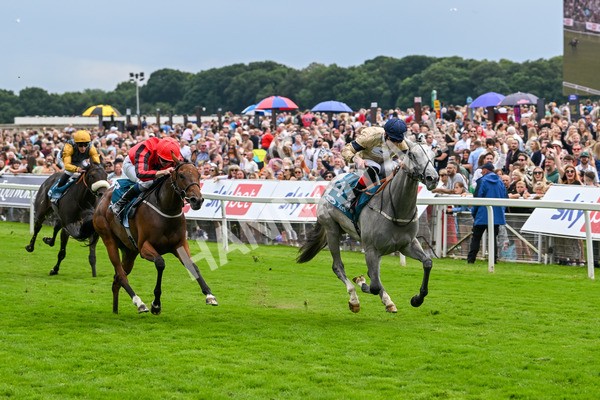 270724-Race 4-Greydreambeliever-7252 - Race 4 4.00pm Sky Bet Club EBF Fillies' Novice Stakes