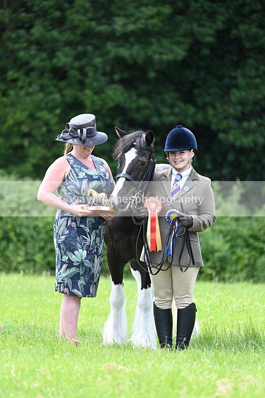 WJ7_1570 - Class 11 Condition & Turnout
