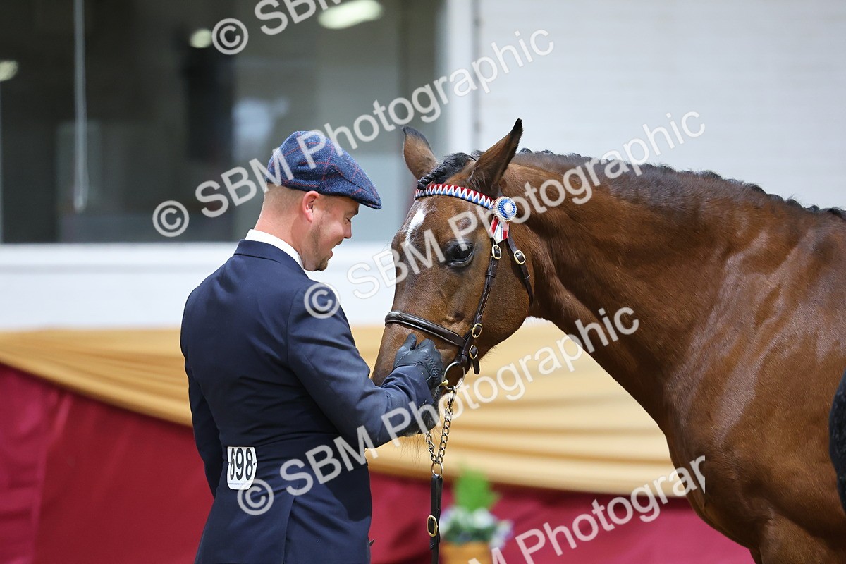 SBM_19707 - Class 901 - Supreme Final - IH Diamond