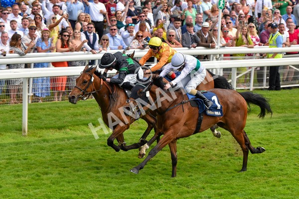 270523-Race 4-River of Stars-4360 - Race 4 3.15pm William Hill Bronte Cup Fillies' Stakes