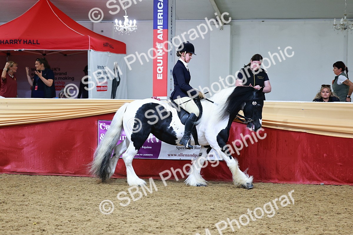 SBM_23462 - class 906 - Supreme Final - Ridden Pre Vet