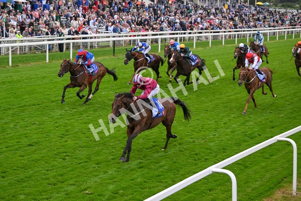 210824-Race 5-Extensio-5416 - Race 5 4.10pm Sky Bet Stayers Handicap