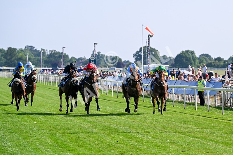 100726-Race 6-Ziggys Triton-0660 - Race 6 17.05pm William Hill Keep Your Raceday Positive Handicap