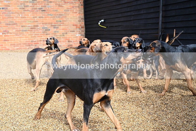 WJ7_7015 - Berks & Bucks at Blandy’s Farm 31-08-25