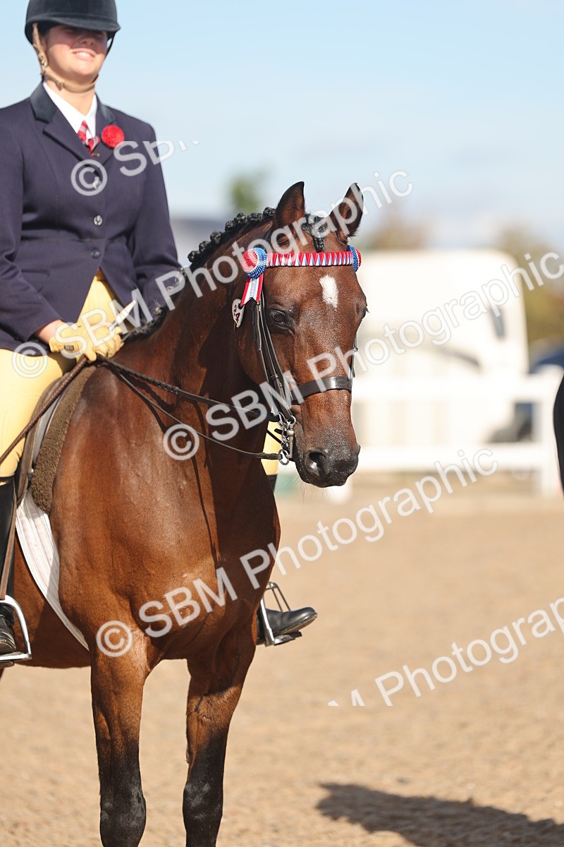 SBM_12369 - Class 304 - Ridden part Bred Horse Pony