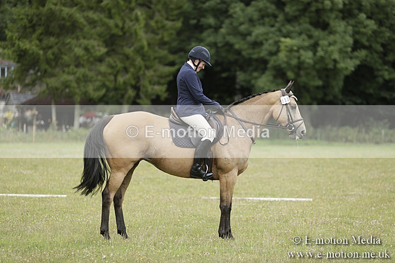 BVR160717-527 - Class 1 & 23a Dressage 16/07/17