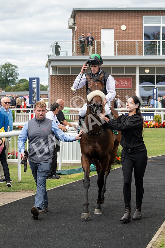 020825-Race 1-Rikki Tiki Tavi-2441 - Race 1