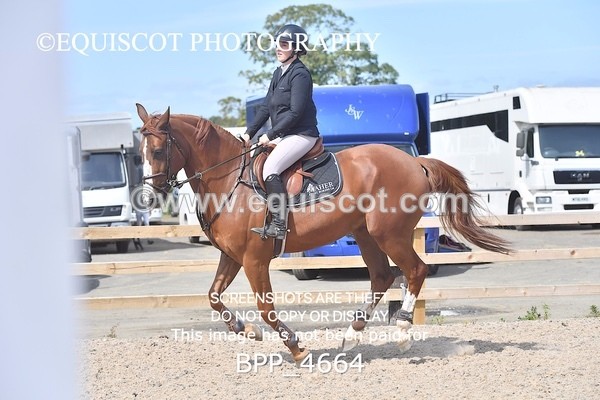 BPP_4664 - CLASS 15 SUN Senior Newcomers/ 1.10m Open