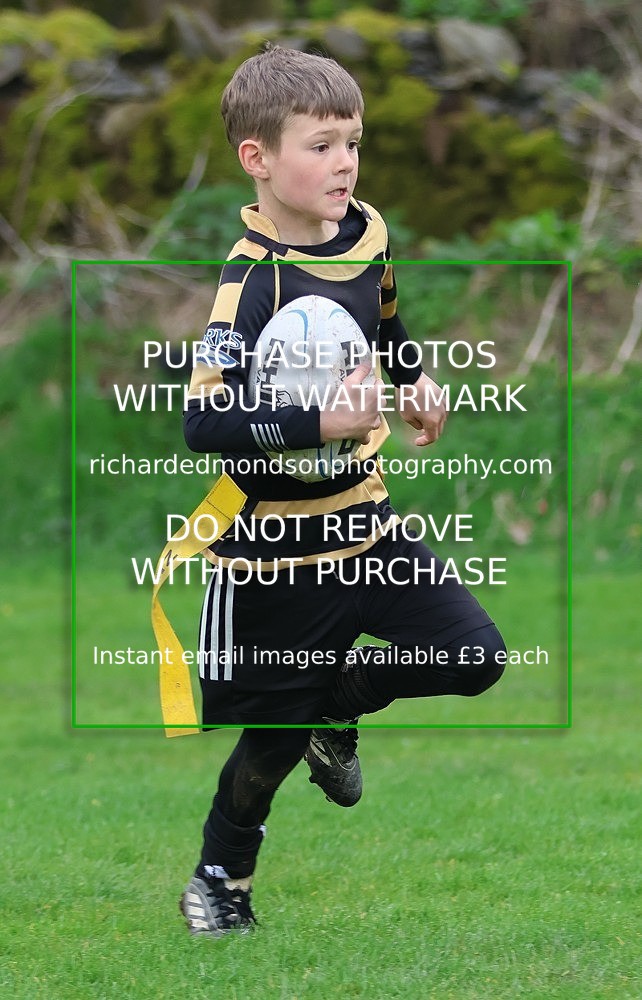 533A5023 - Kendal Rugby Under 7's (12/4/26)