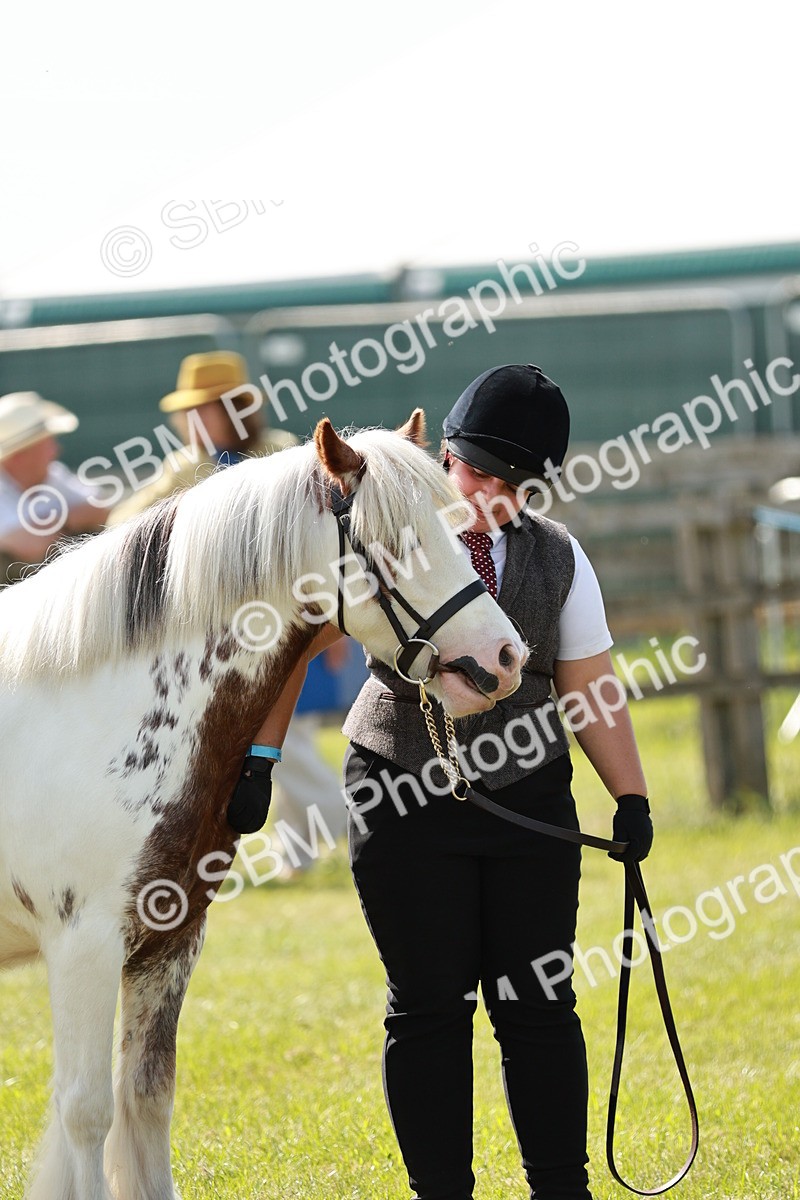 SBM_08678 - Class 63-65 - Traditional Gypsy Cobs In Hand & Ridden