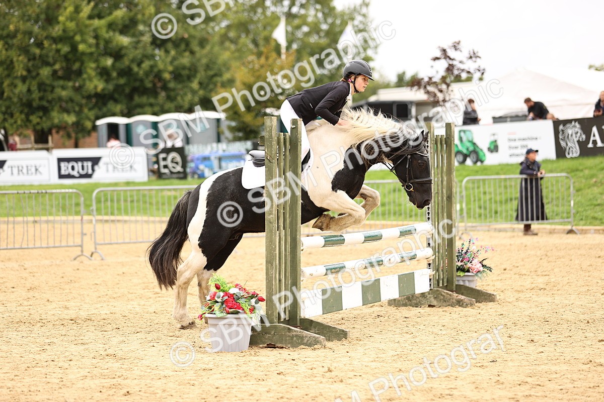 SBM_65581 - J17 - Junior Pony 80cm Championship