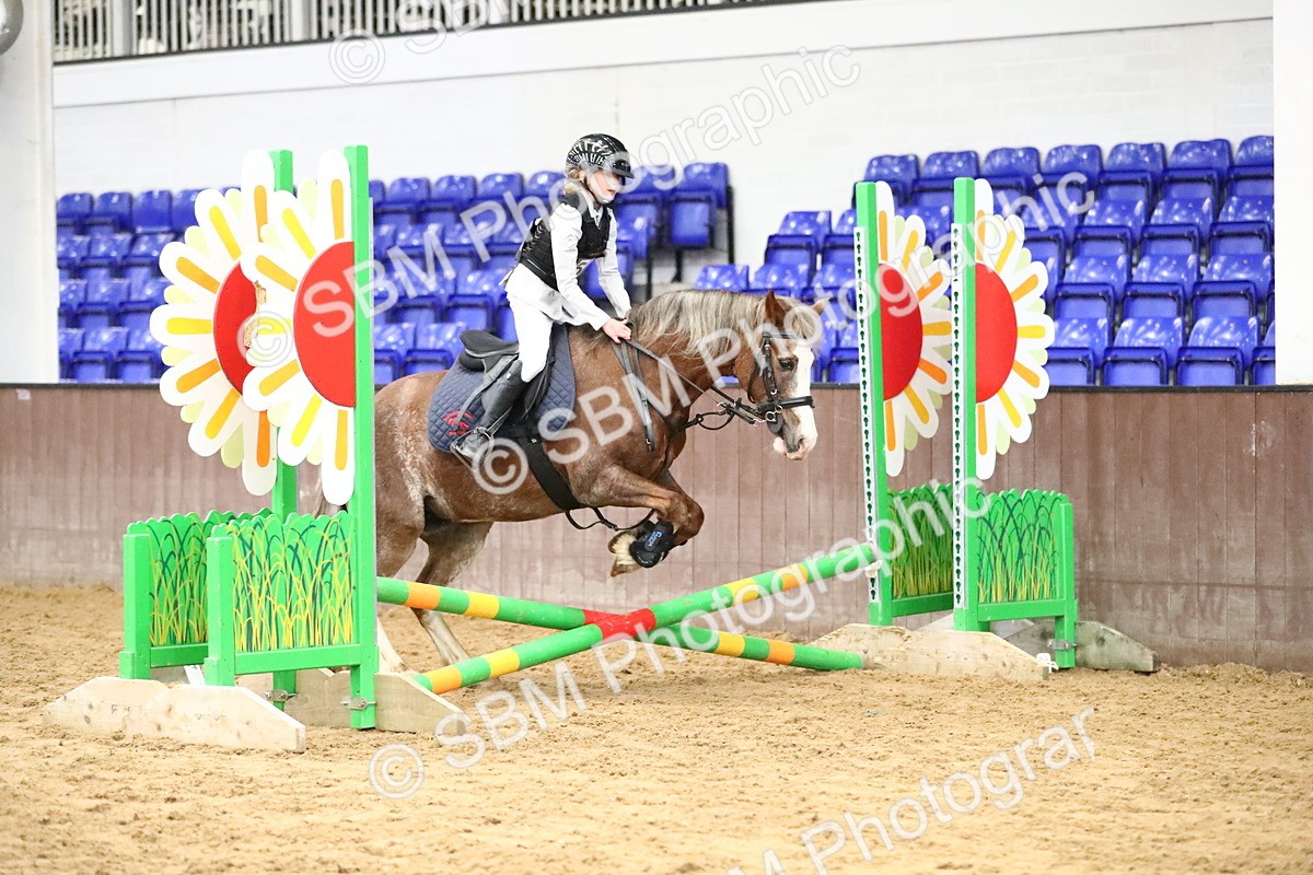 SBM_000743 - Class 2 - 40cm