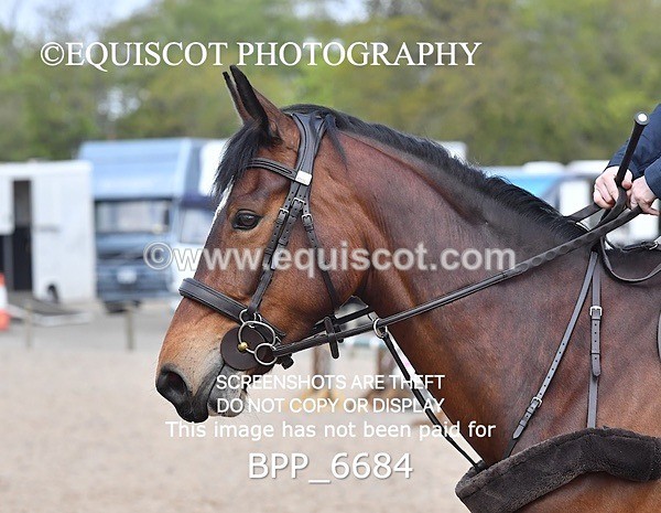 BPP_6684 - CLASS 1 FRI Club/ Unaffiliated 70cms Open