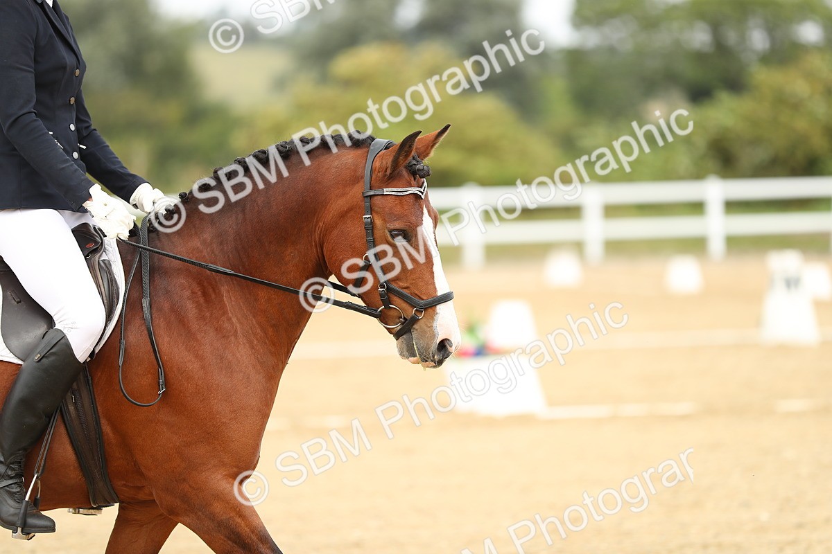 SBM_017647 - Class 13 - Novice 23 - 14.27-15.16