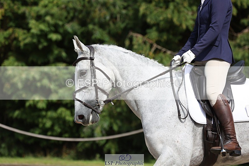 230811-152334-02434 - Cls 1 Prelim Bronze 15.00 to End