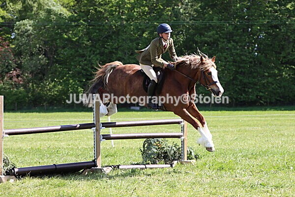 IMG_4748 - Working Hunter