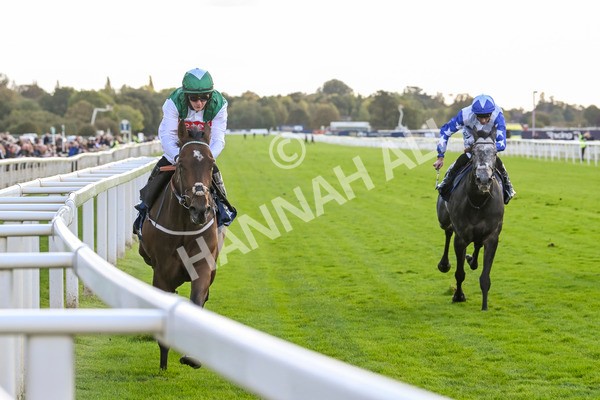 111024-Race 3-Minstrel Knight-1665 - Race 3 2.40pm William Hill Finale Handicap