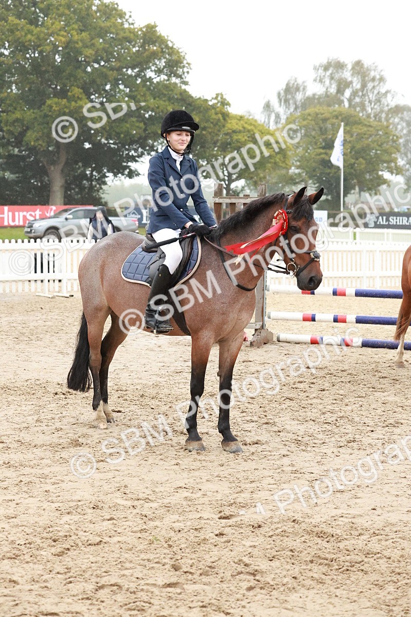 SBM_73564 - Supreme Championship Junior Pony 60cm & 65cm