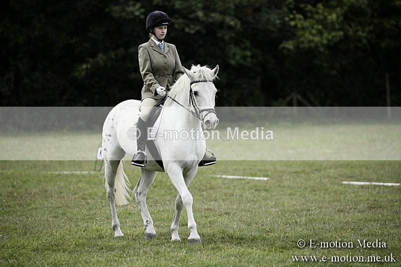 BVR080918 366 - BVRC Novice Dressage & CR 08/09/18