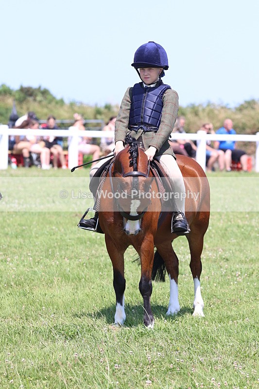 JPP_2304 - Class 20: Tiny Tots Working Hunter Pony