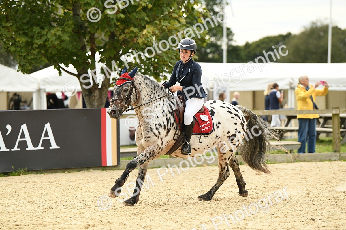 SBM_75670 - Supreme Championship