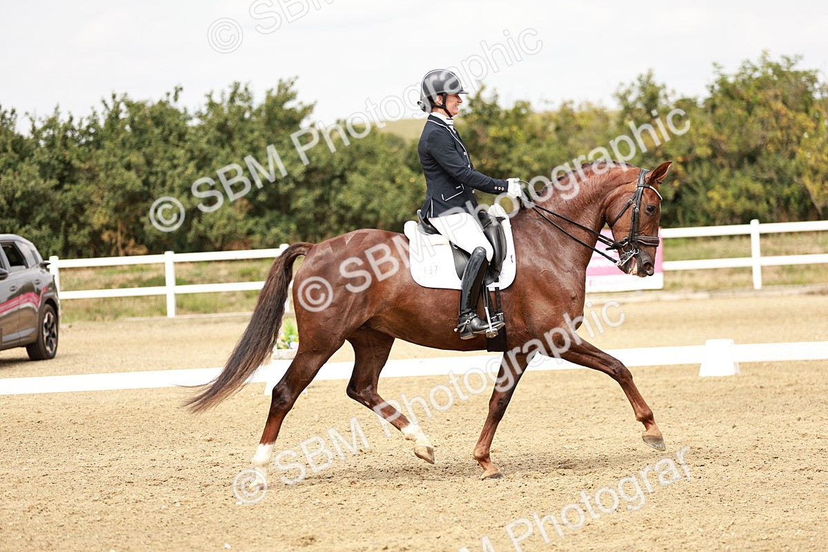 SBM_003806 - Class 7 - Advanced Medium 6 Gold - 13.16-14.36