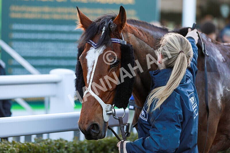 010125-Race 1-Its All About You-2254 - Race 1