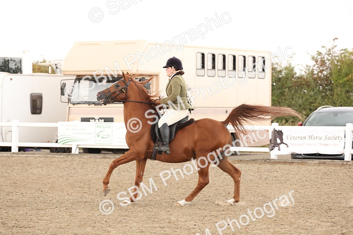 SBM_07592 - Class 59b -  Style & Performance - 80cm (20+)