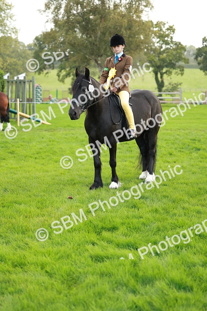 SBM_28902 - S7 - Novice & Newcomer Ridden Pony