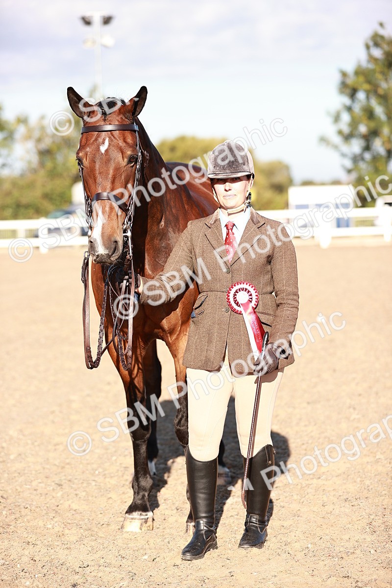 SBM_11222 - Class 401 - IH  Veteran horse