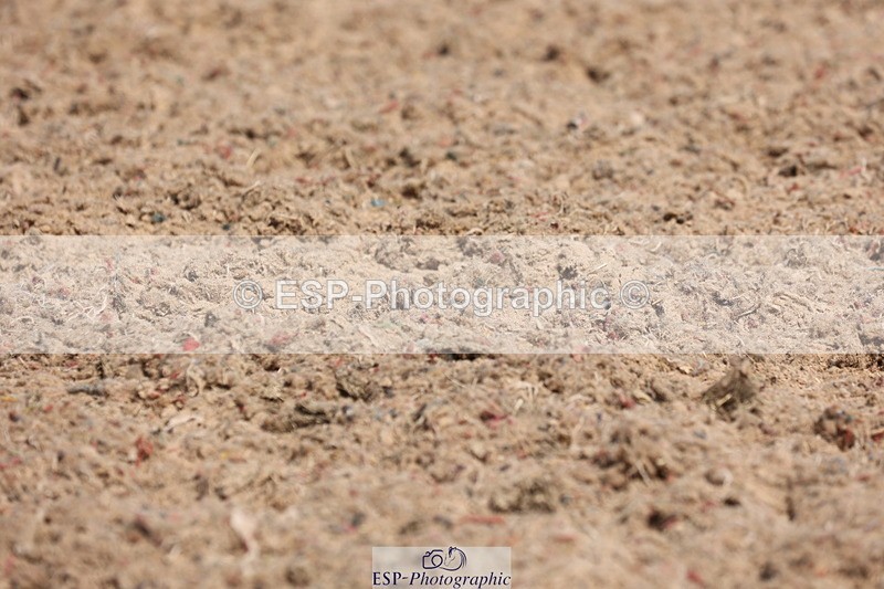 240621A-102902-00165 - Cls 6 BD Music Novice