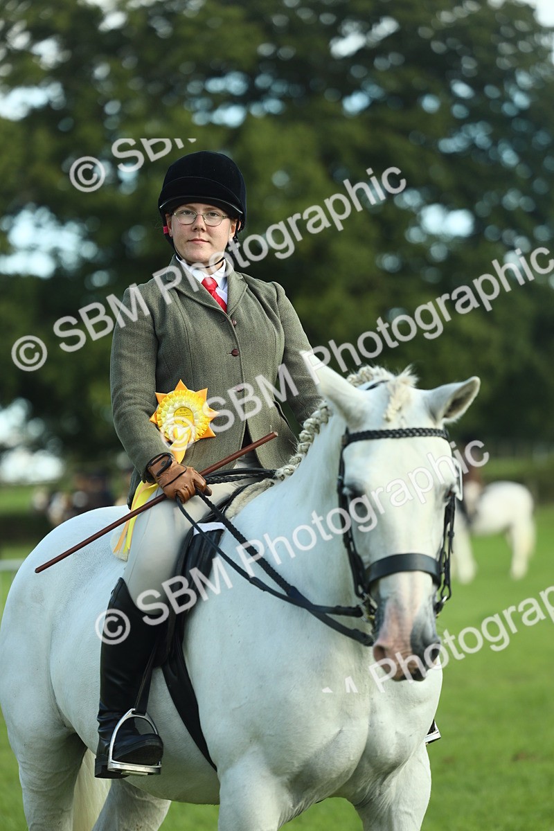 SBM_49939 - S32 - Novice & Newcomers Working Hunter