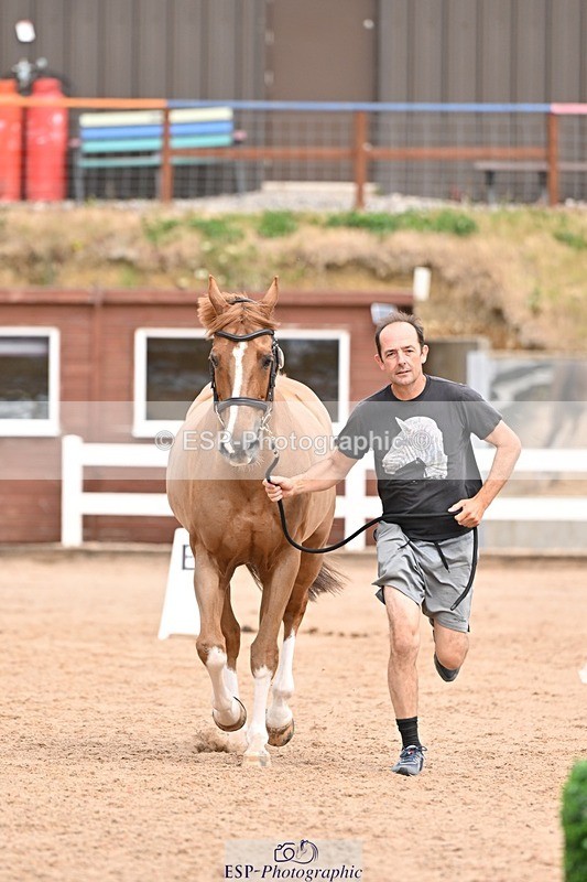 250716-153932-02086 - Trot Up 3.30 to 4.30