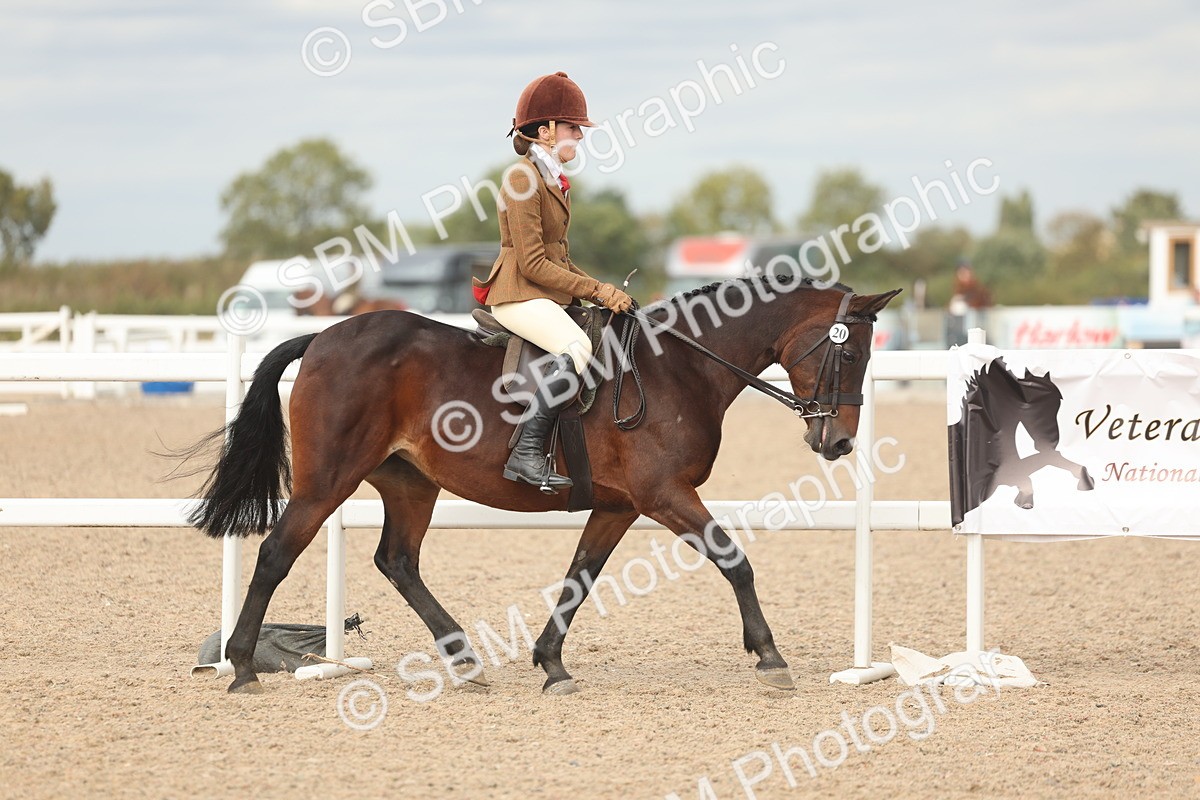 SBM_17975 - Class 314 - Family Horse Pony