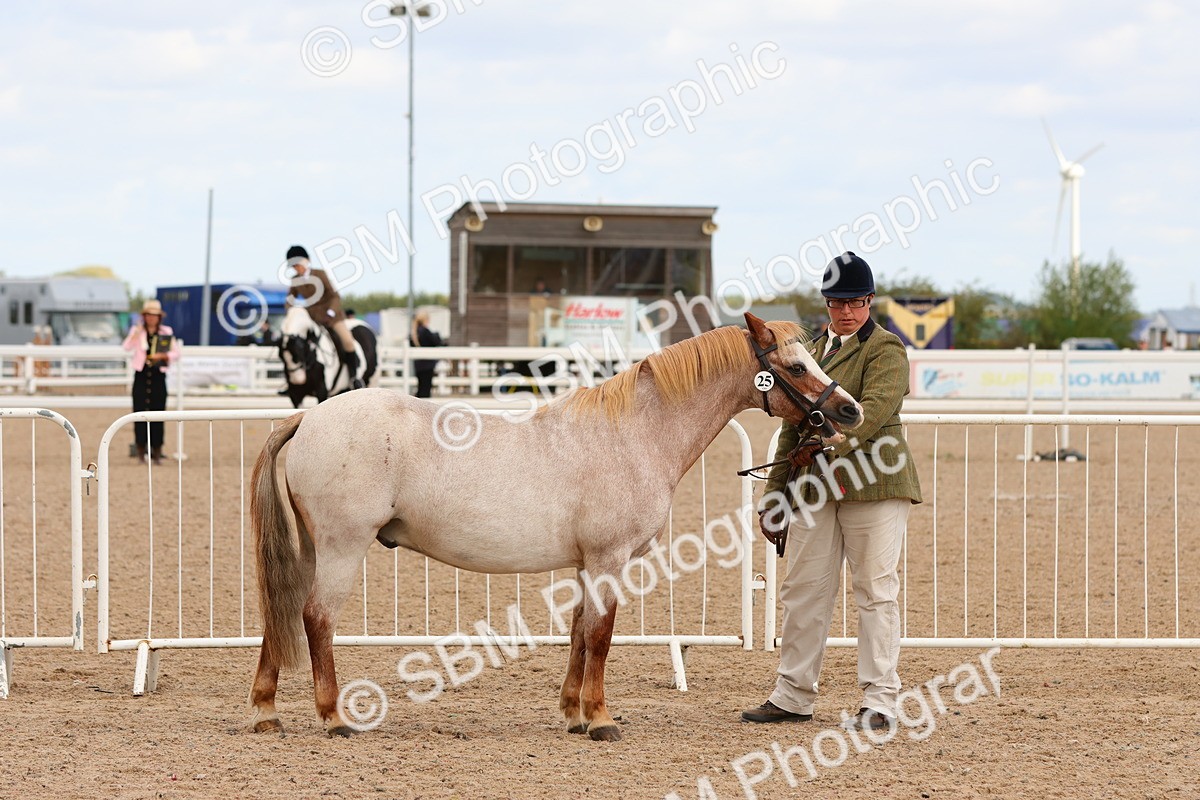 SBM_11938 - Class 209 - IH Veteran Pony