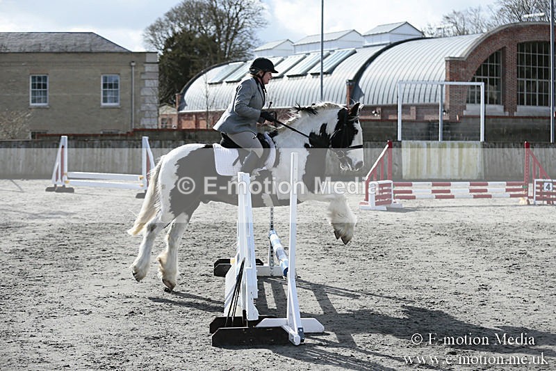 BVRC SJ 170319 88 - Bourne Valley Riding Club Showjumping 17/03/19